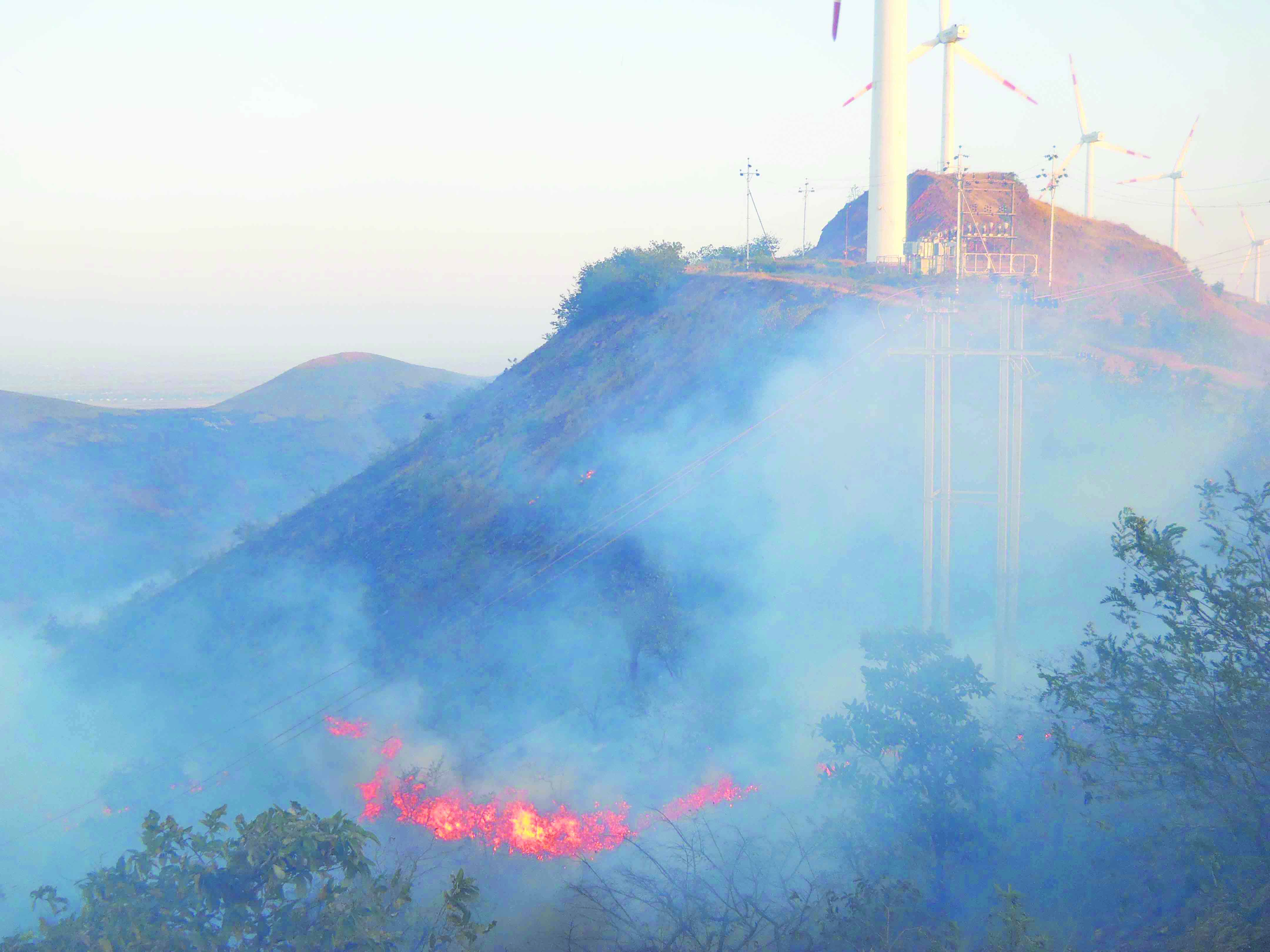 ಉ.ಕ. ಸಹ್ಯಾದ್ರಿ ಕಪ್ಪತಗುಡ್ಡ ಅಗ್ನಿ ಆರ್ಭಟಕ್ಕೆ ಧಗಧಗ!